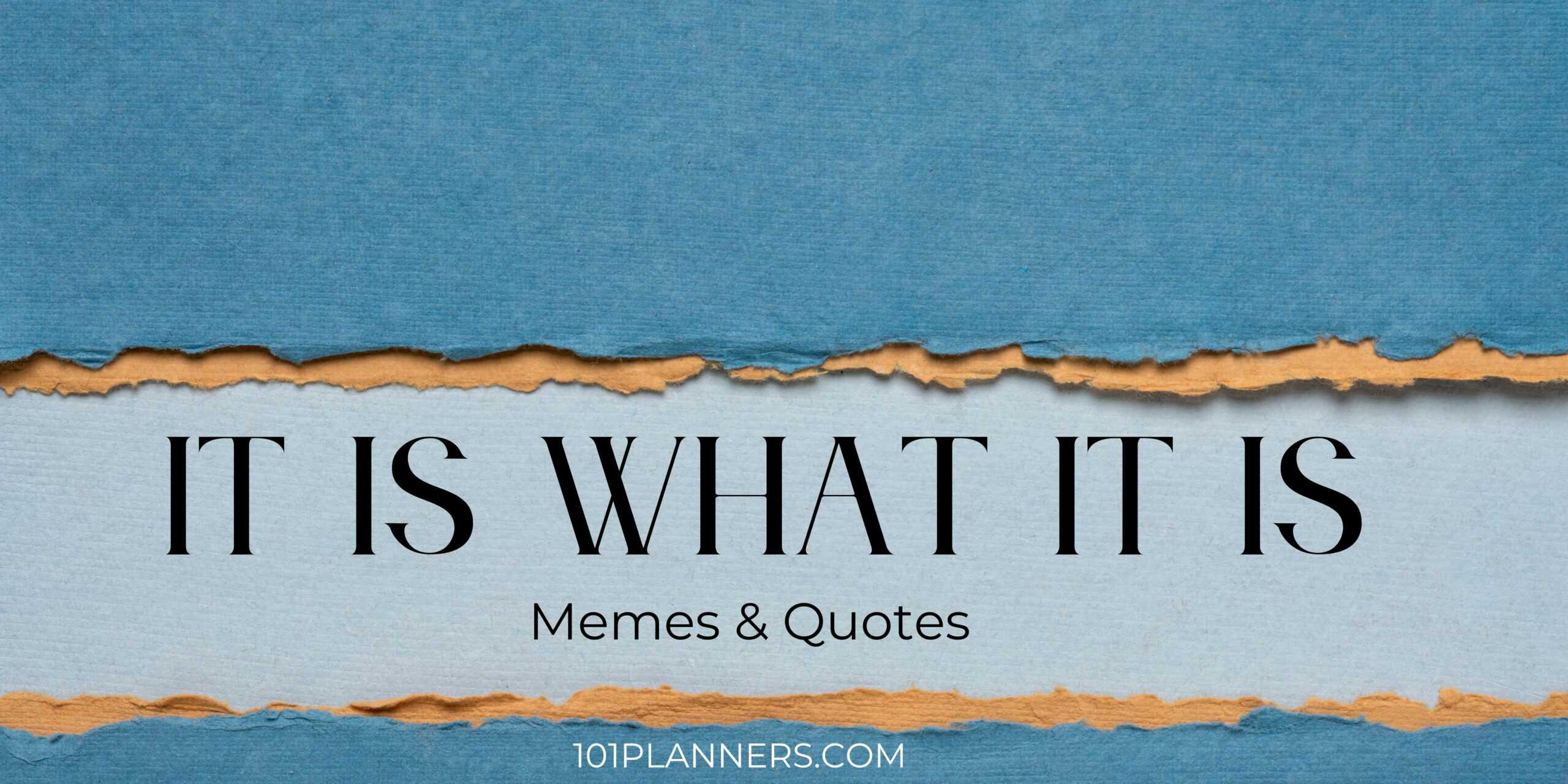 It is what it is Meme & Quotes